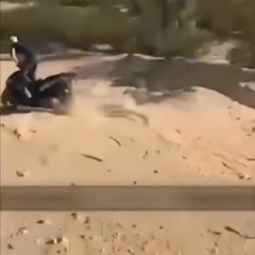 Instant Regret Compilation