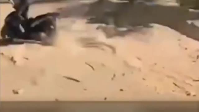 Instant Regret Compilation