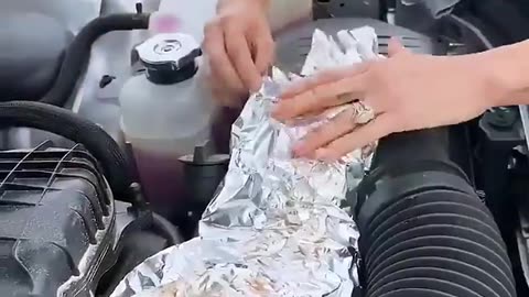 Failed Mom Serves Family Ribs Cooked On An Engine