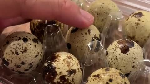 Pork Adobo with Quail Egg