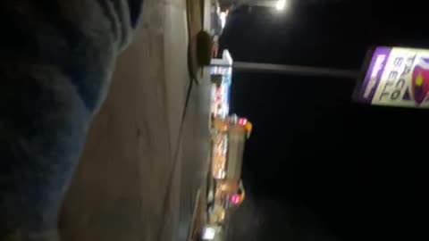 Concern about my new phone