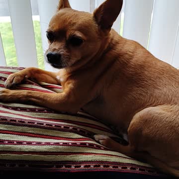 TC telling me about him missing Mom.