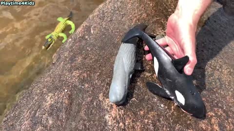 Toys of marine animals on the river bank.