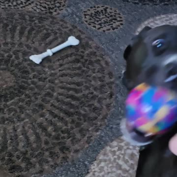 I Just Want To Play Dad