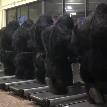 In the hall with friends 💪