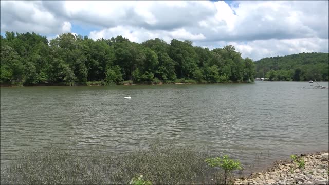 Mousetail landing state park, Tennessee