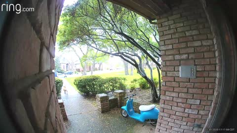 Delivery Driver Doesn't Appreciate Friendly Dog