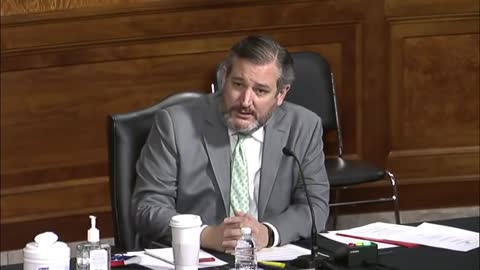 Ted Cruz questions witnesses