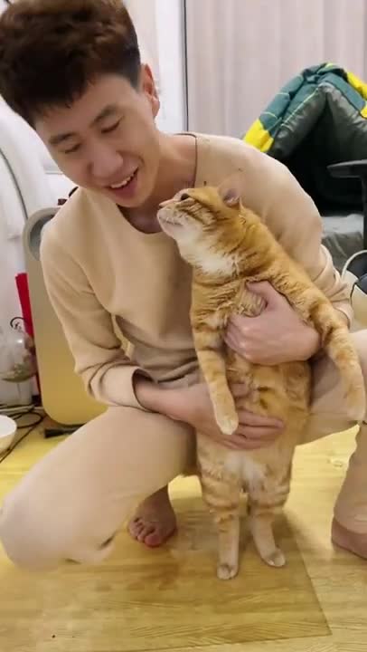 Do you like such a kitten