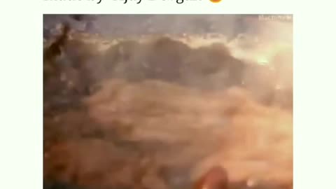 First vimal sample made by Ajay Devgan fanny video insta fanny reel