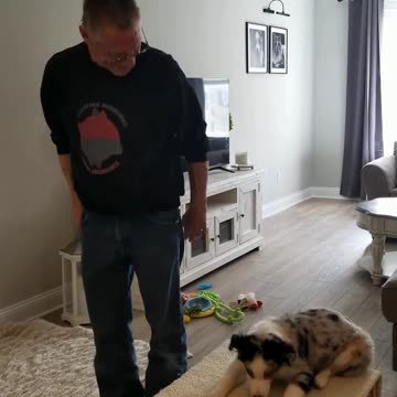 Baxter shaping the Stay Cue