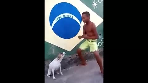 El perro Perriador :-]