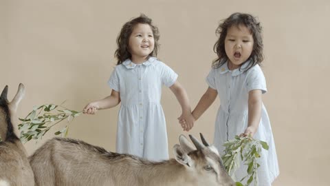 Twins Feeding Goats