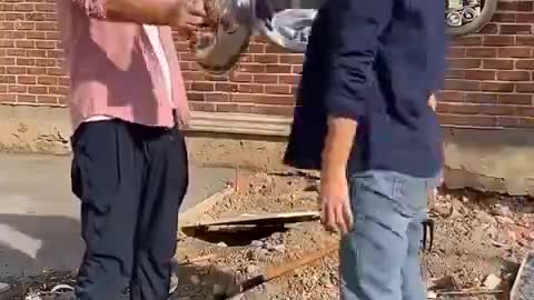 TopVision: Funny videos collection #4