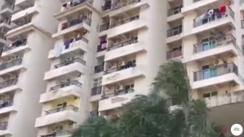 Flats for Sale in Gaur City 5th Avenue Noida Extension