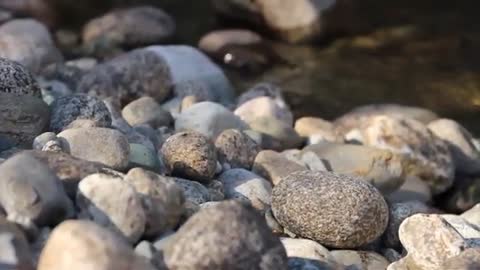 Sleeping Calm Music And Relaxing Music|New Wonder Flim..