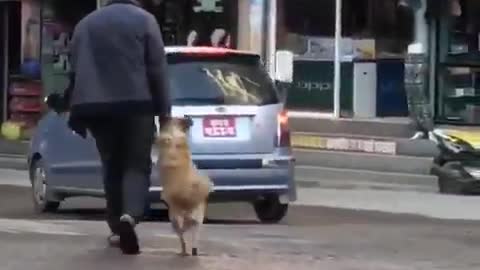 Dangerous street, give me your hand 😂😂🤣