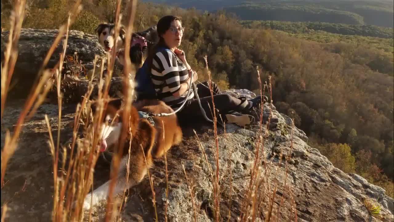 Dogs enjoy beautiful Autumn weather in Arkansas