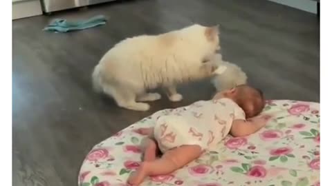 Cute baby & Cat baby 😍