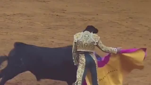 spanish bullfight