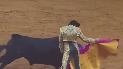 spanish bullfight