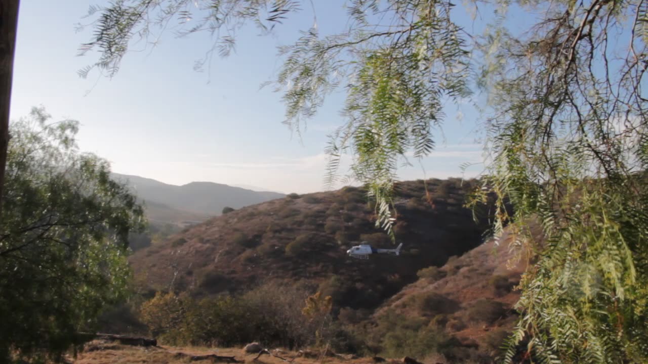 D.H.S. Helicopter Harassing J6 Journalist