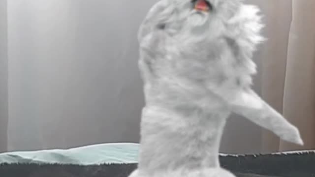 Kun Fulion
