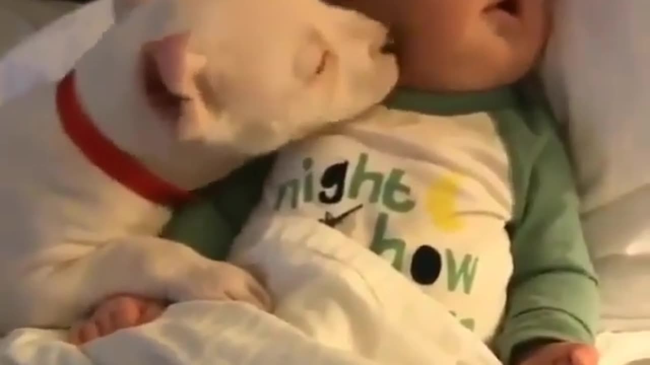 Awesome dog loving on sleeping baby!