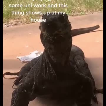 Bestie vibes#australia #fyp #texttospeech