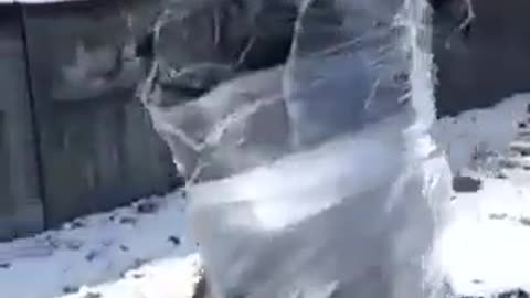 Ukraine humiliation of citizen