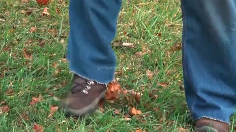 Literally: Disgusting Pedophile Makes Confrontation Even Worse When He Craps His Pants