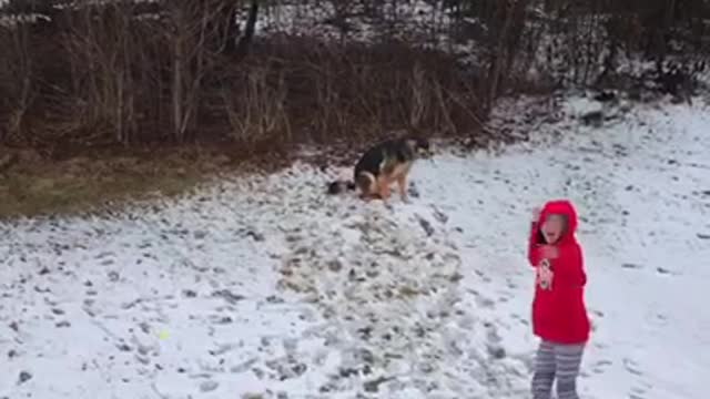 Guy in red shirt throws ball and tan dog catches it