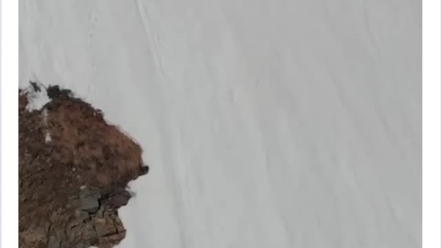 Never Ever Ever Give Up