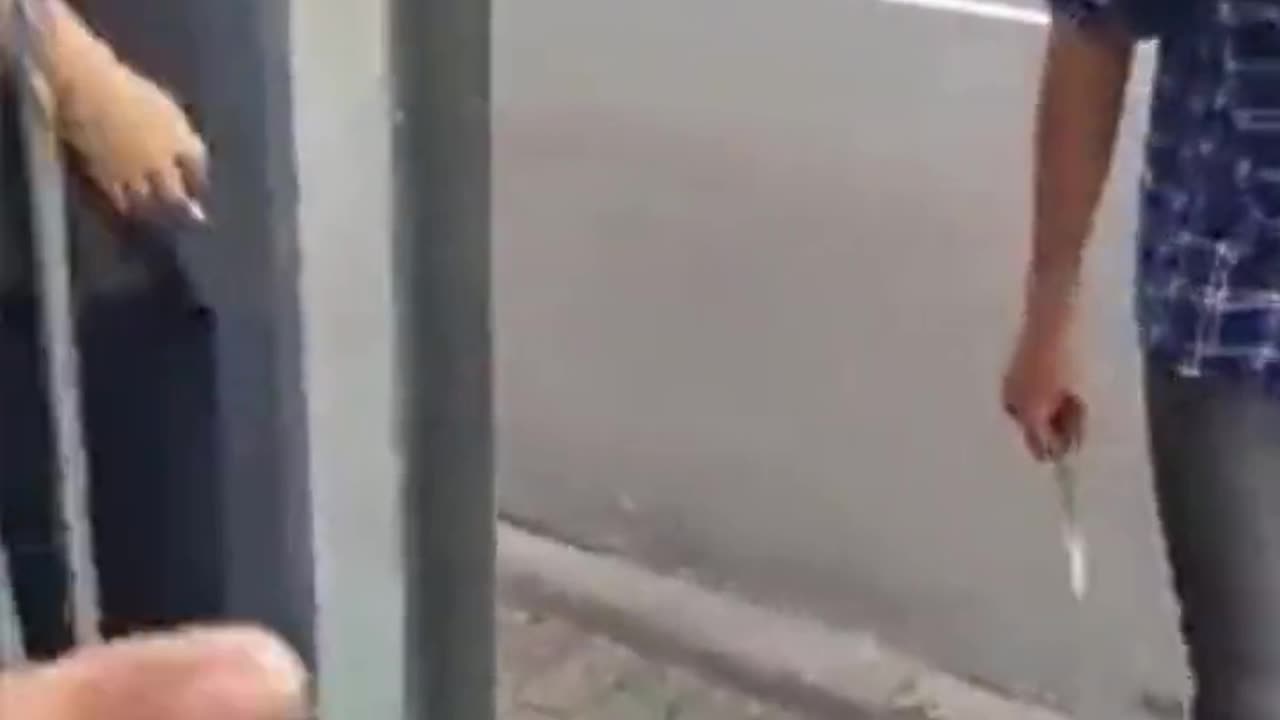 Asylum seeker pulls a knife on people who rehomed him in Germany what a scumbag