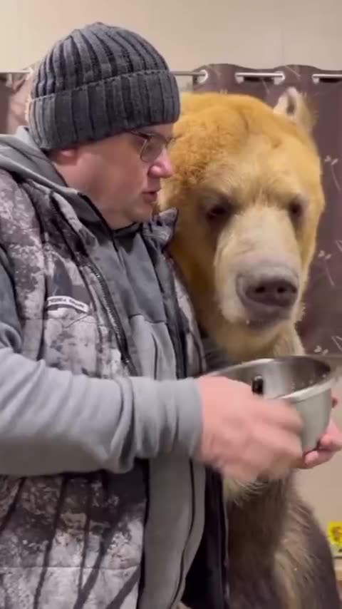 Just a guy feeding the pet 😱😊