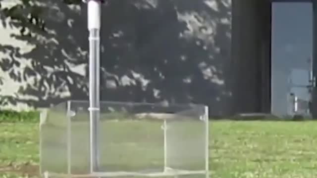 Researchers train goldfish to drive...