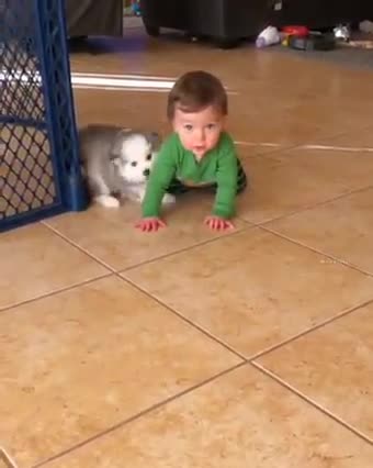 The love between kid and pet 😭🤎 Must Watch Clip