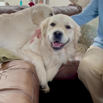 Pops dis Bubba security blanket. 😇 Bubba the Innocent