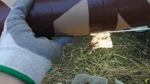 We are good friends! A guinea pig and a bunny.