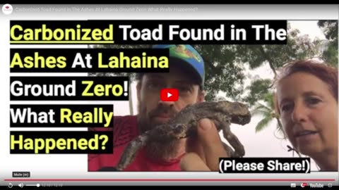 Carbonized Toad Found in the Ashes at Lahaina Ground Zero! What Really Happened?