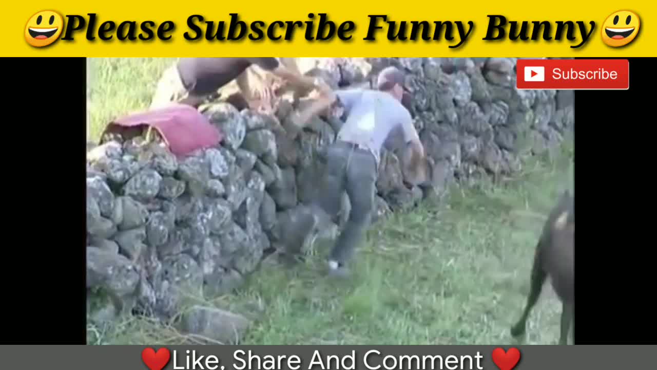 Best funny videos / Most awesome bullfighting festival funny crazy bull fails