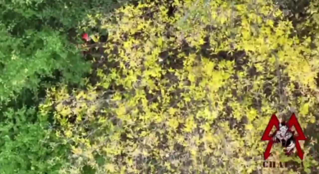 Drone operators of the SPARTA battalion (DPR militia) drive surviving Ukrainian soldiers