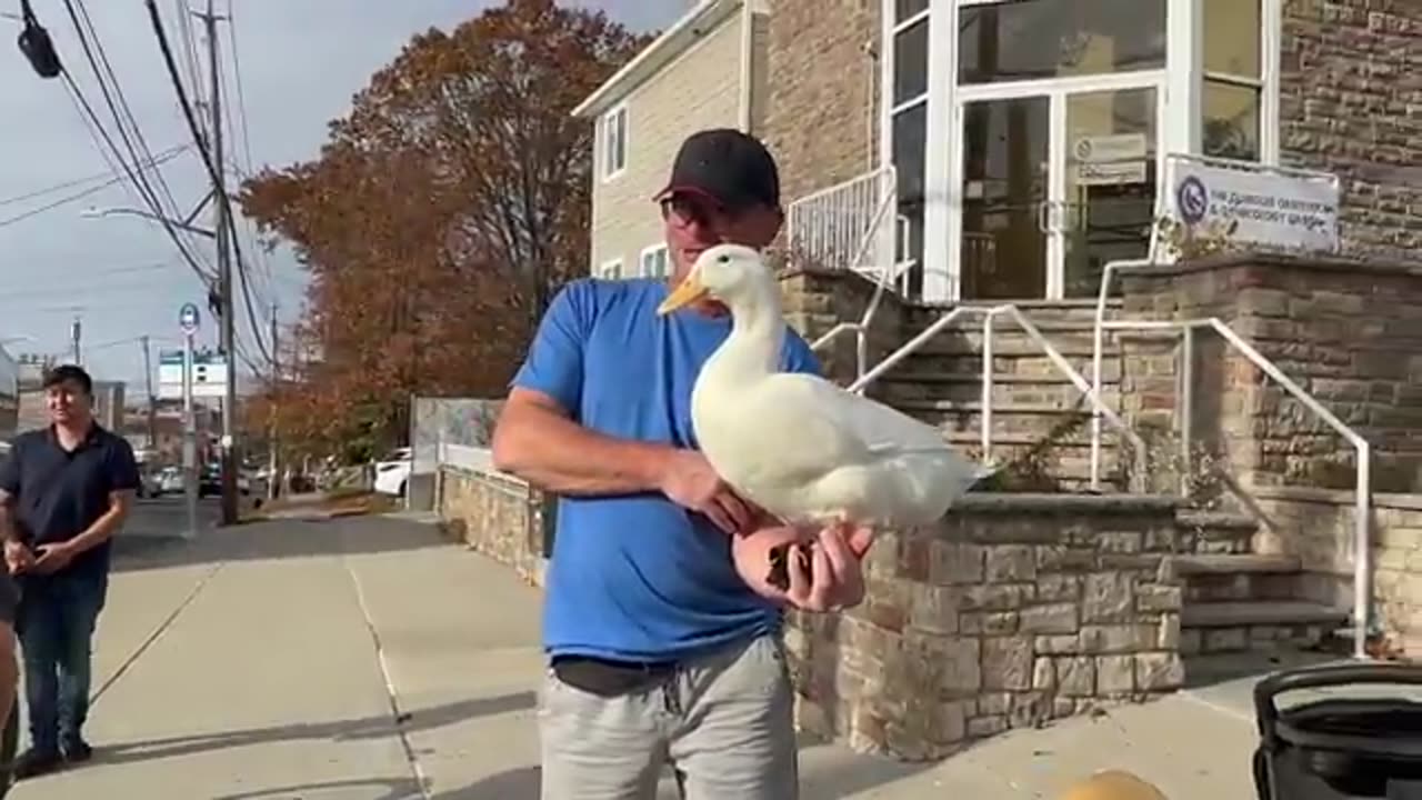 duck wins the marathon Medal