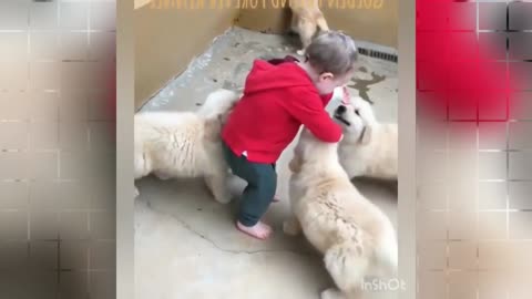 Collection of babies and their pets