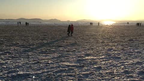 a sea of ice