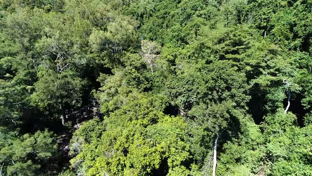 Jourama Falls, Queensland