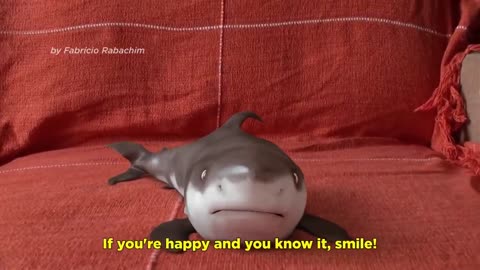 Most adorable baby shark that you'll ever see