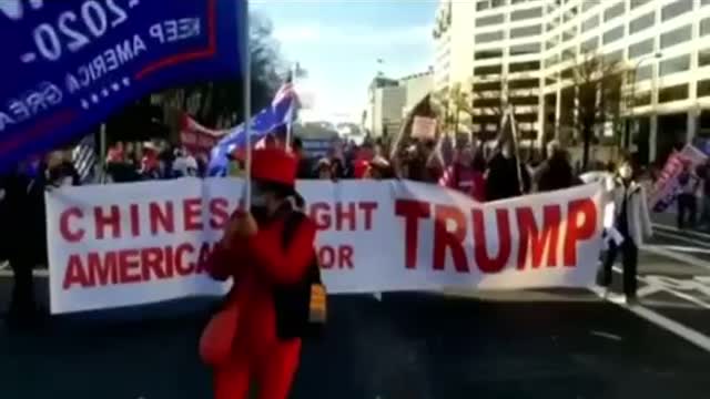 FIGHT FOR TRUMP