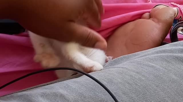 Don't let me work