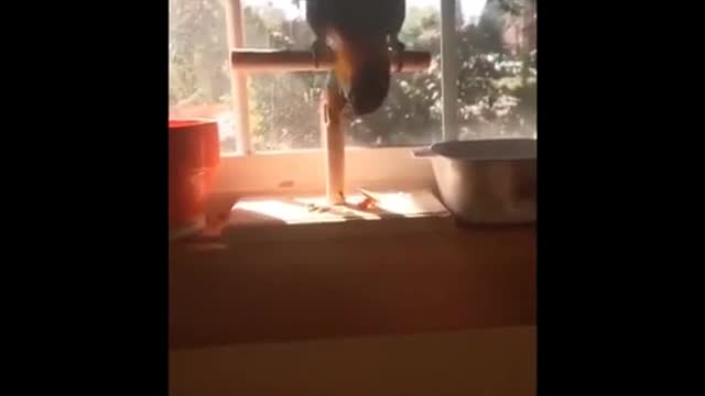Didn't drink the bitch you sit on
